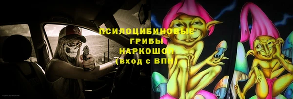 хмурый Гусев