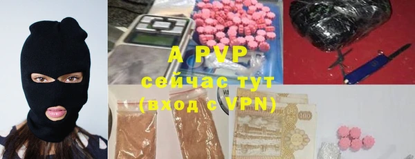 хмурый Гусев