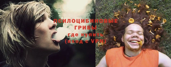 дмт Гусиноозёрск