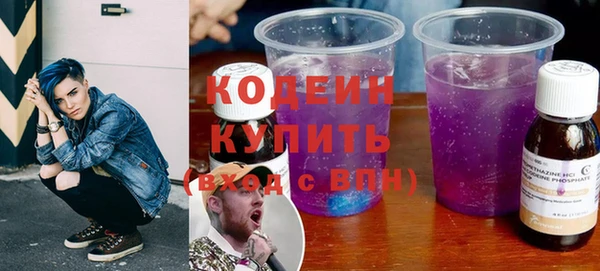 хмурый Гусев