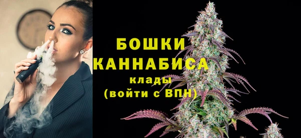 хмурый Гусев
