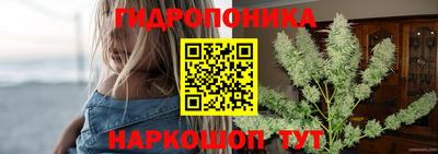 крисы Ипатово