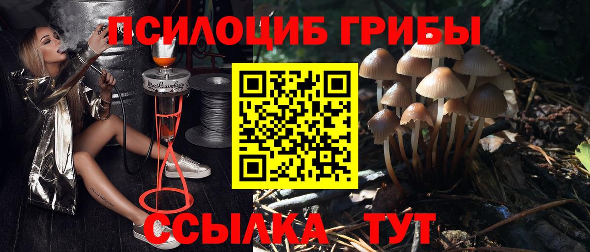 Галлюциногенные грибы прущие грибы Ростов-на-Дону